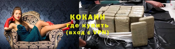 индика Абаза