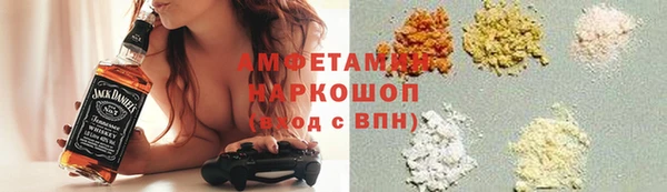 индика Абаза