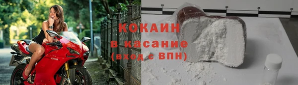 индика Абаза