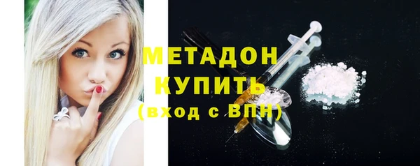 индика Абаза
