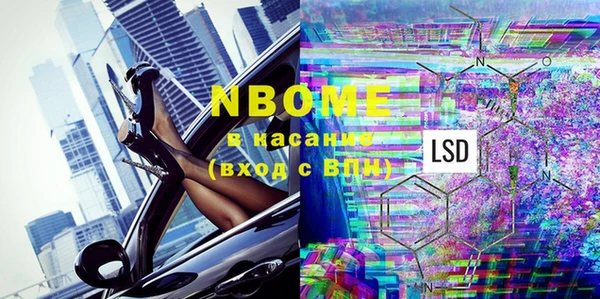 индика Абаза