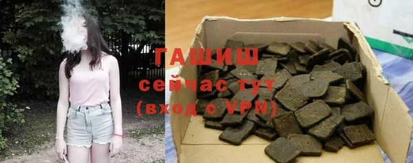 индика Абаза