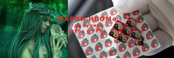 индика Абаза