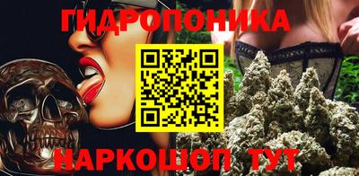 хмурый Свободный