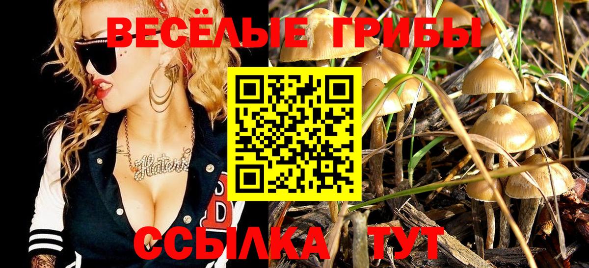 Галлюциногенные грибы GOLDEN TEACHER Шумерля