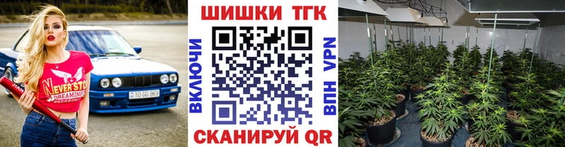 Шишки марихуана гибрид  Шумерля 